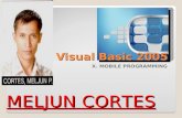 MELJUN CORTES Visual basic 2005 Mobile Programming