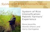 0402 SRI: Pabinhi Farmers' Experience