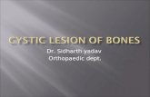 Cystic lesion of bones
