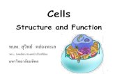 Cell : Structure and Function Part 01