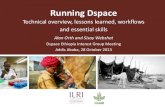 Running DSpace: Technical overview, lessons learned, workflows and essential skills