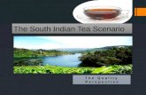 The south indian tea scenario