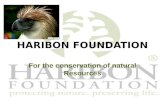 Haribon foundation