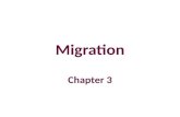 Migration part 1