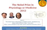 The nobel prize in Medicine/Physiology 2013