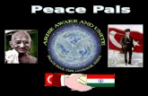 "Cms  SQC peace pals" from the ICT Seagulls Project designed by Dr. Hayal KÖKSAL