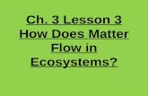 4th Grade-Ch. 3 Lesson 3 How does Matter flow in Ecosystems