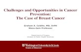 Colditz AACR prevention award lecture: preventing breast cancer now