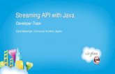 Streaming API with Java