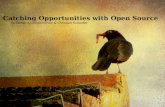 Open source opportunities