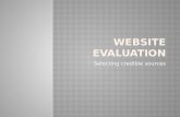 Website evaluation