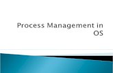 Process management in os