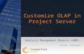 Use Amo To Customize Olap In Project Server