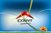 Why Corvit?
