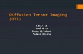 Diffuse Tensor Imaging - PowerPoint Presentation