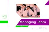 Managing Team  (for IT Professionals)
