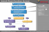 Adult Post Cardiac Arrest Care Algorithm