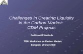Challenges in Creating Liquidity in the Carbon Market:  CDM Projects