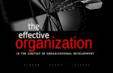 Effective organization in a context of organizational development
