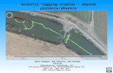 Acoustic Tagging Studies – Beyond Presence/Absence