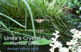 Linda’S Crystal & Herbal Gifts