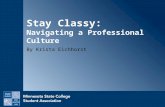 Stay Classy: Navigating a Professional Culture