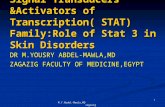 Stat family:stat 3 in skin disorders  by yousry