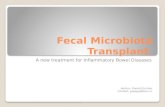 Fecal Microbiota Transplant, new hope for Inflammatory Bowel Diseases