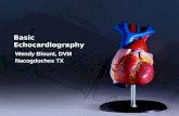 PowerPoint - Echocardiography 1