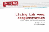 SmB café brainstorm 12 Dec '13 - Living Lab voor Zorginnovaties - Gert-Jan Cornel & Mark McDonell