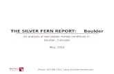 The Silver Fern Report - May 2010