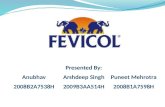Fevicol marketing strategy