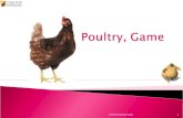 Poultry, Game 4