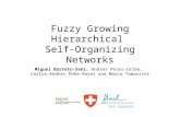 Fuzzy Growing Hierarchical Self-organizing Networks