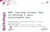 Earning income: How to develop a more sustainable mix