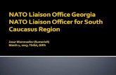 NATO Liaison Officer for South Caucasus Region