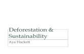 Deforestation & Sustainability