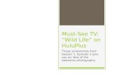 Wild Life on HuluPlus