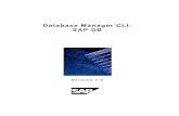 Database Manager CLI: SAP DB 7.3