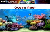 Ocean floor
