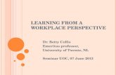 Betty Collis. Learning from Workplace Perspective