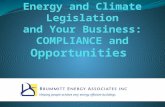 Beth brummitt energy and climate legislation and your business