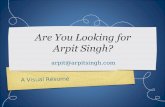 Arpit Singh Visual Resume