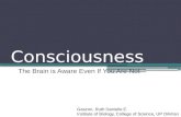 Consciousness: The Brain Is Aware