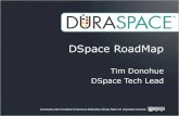 DSpace RoadMap 2011
