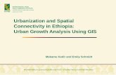 INSTITUTEUrbanization and Spatial Connectivity in Ethiopia: Urban Growth Analysis Using GIS