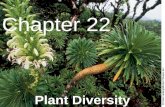Biology - Chp 22 - Plant Diversity - PowerPoint