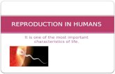 Reproduction in Human Beings