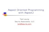 SeaJUG Dec 2001: Aspect-Oriented Programming with AspectJ