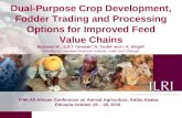 Dual-purpose crop development, fodder trading and processing pptions for improved feed value chains